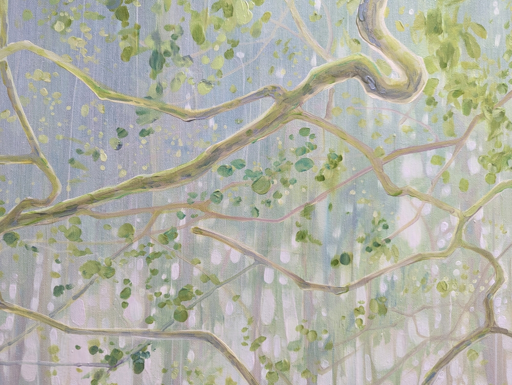 The Mother Tree