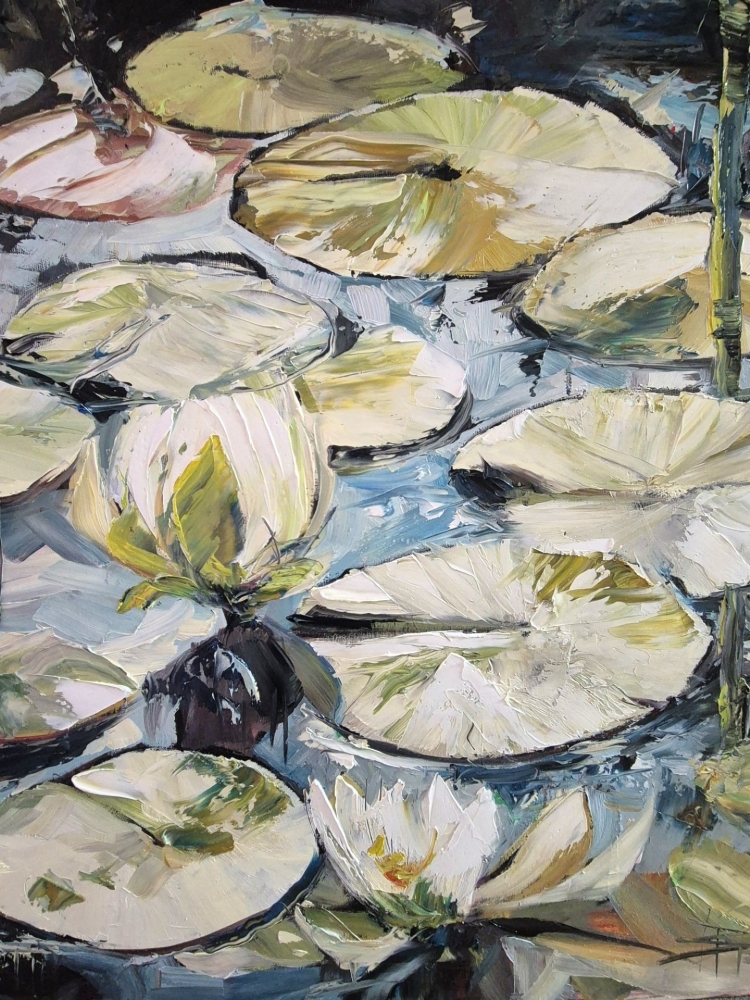 WATER LILIES