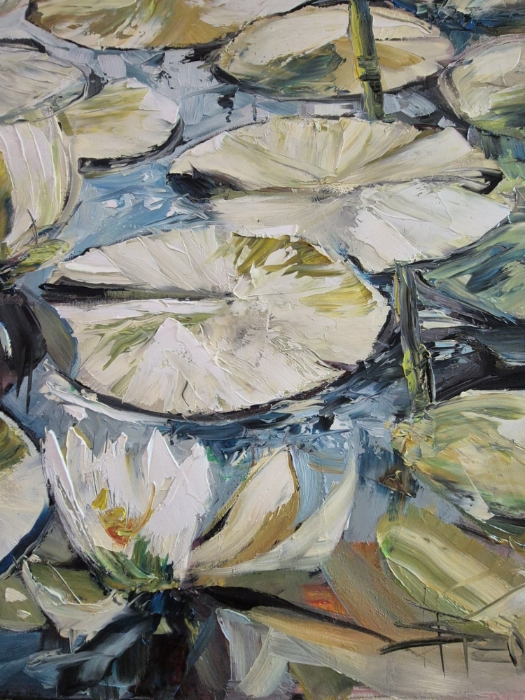 WATER LILIES