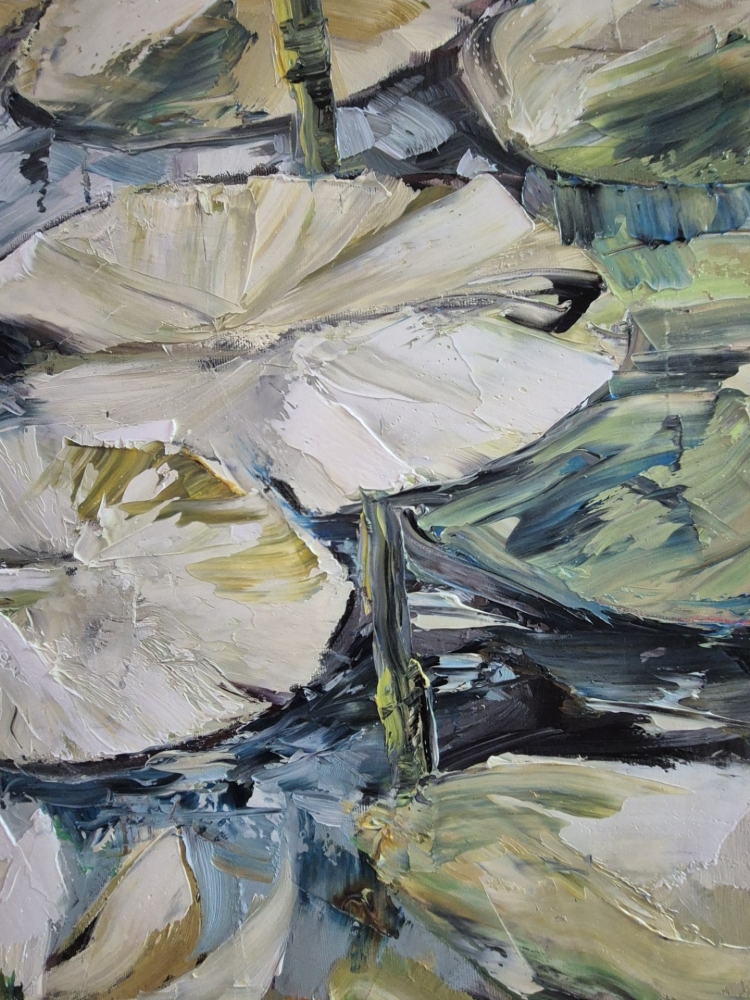WATER LILIES