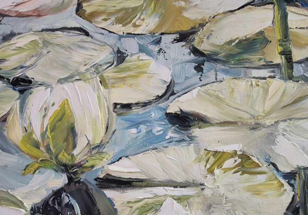 WATER LILIES