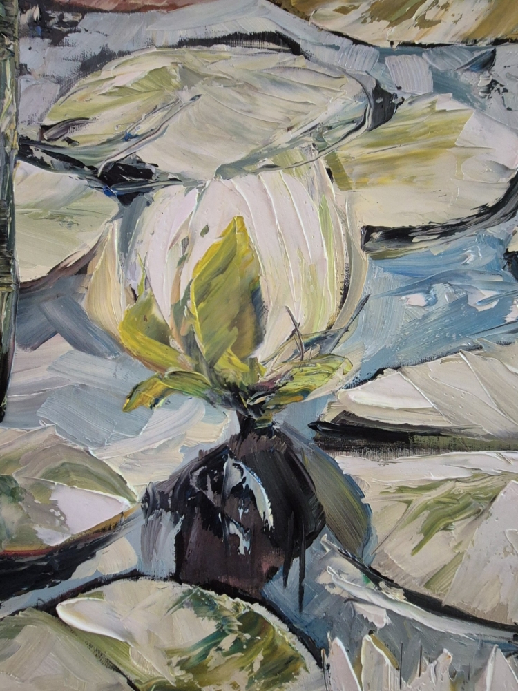 WATER LILIES