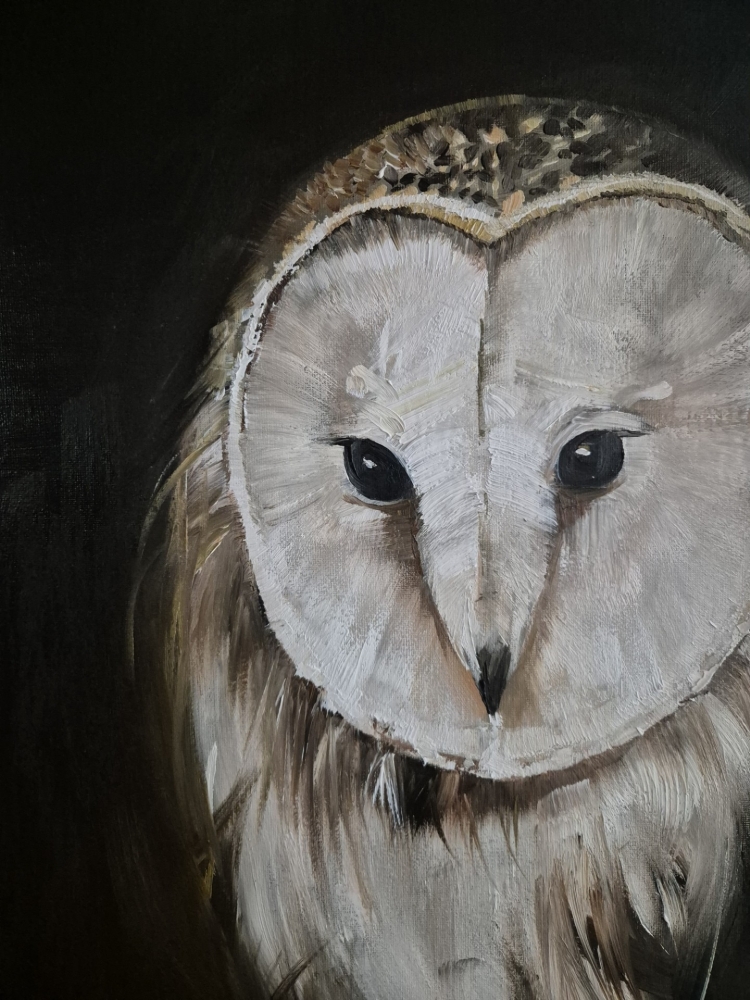 SCREECH OWL
