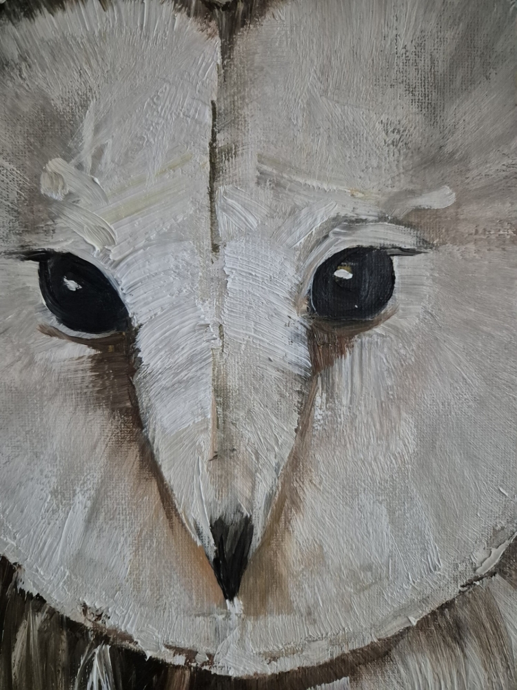 SCREECH OWL