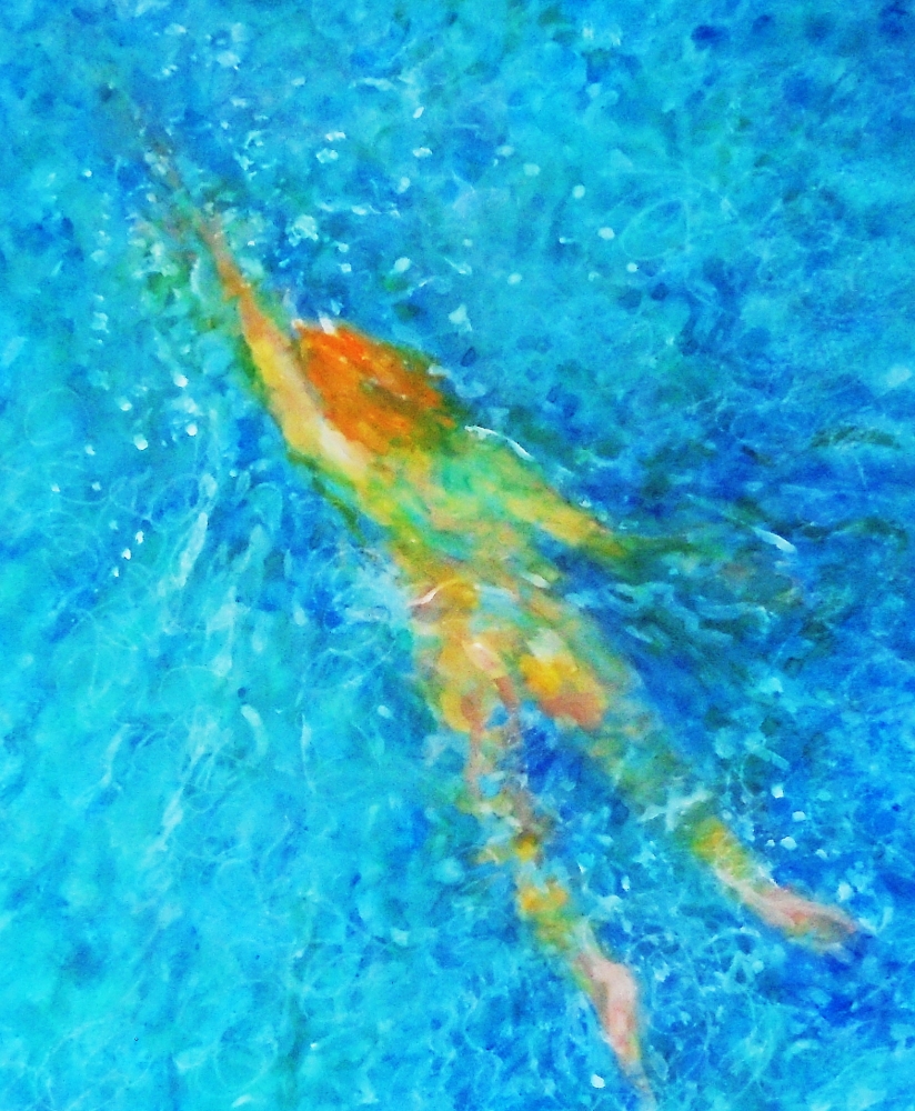 wild water swimmer 1