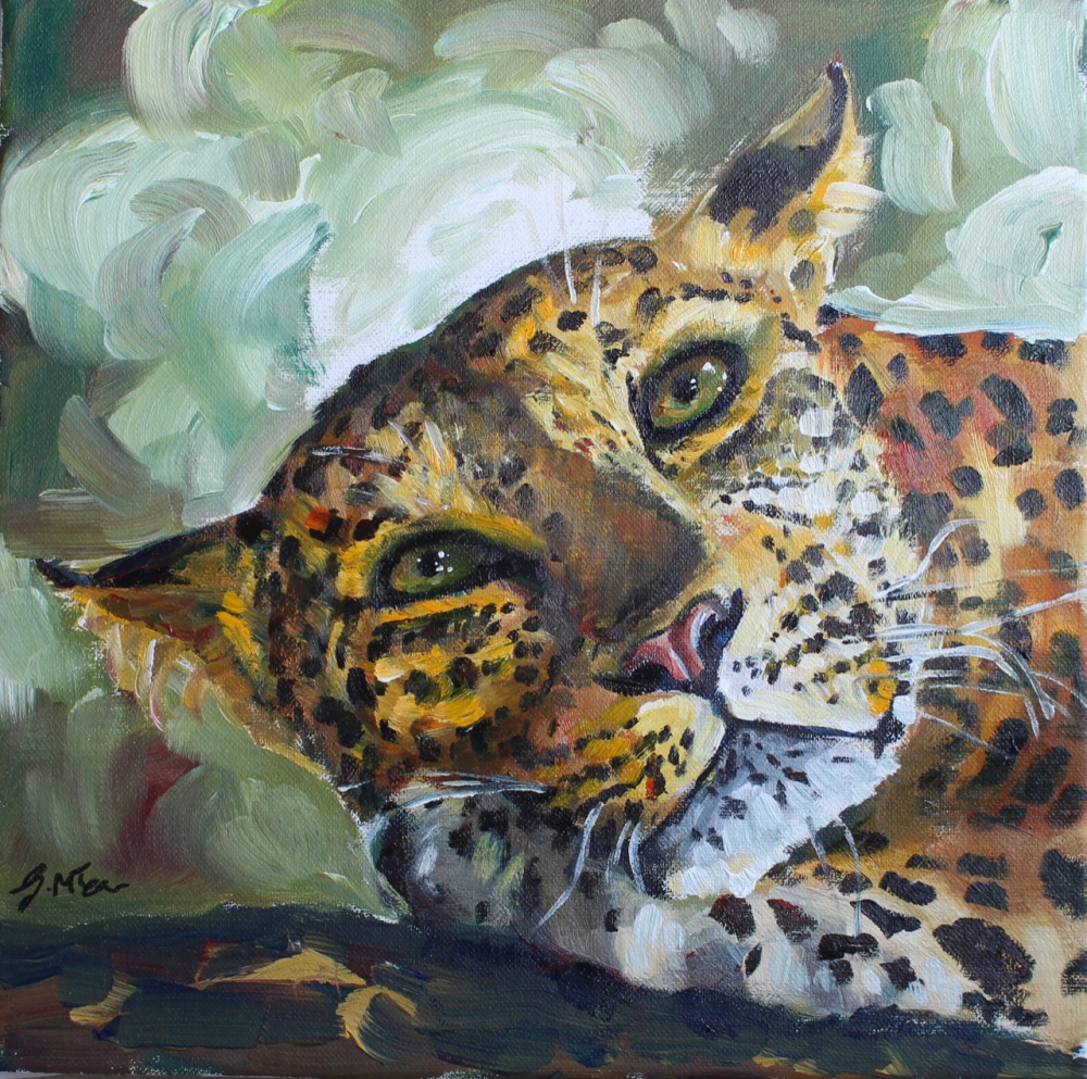 Leopard