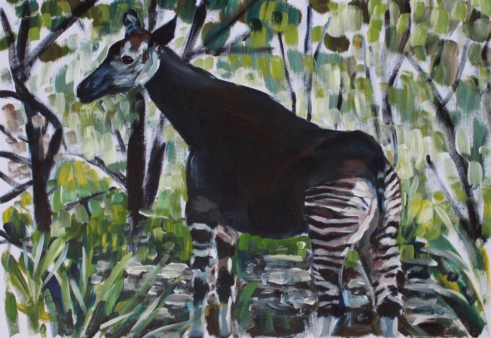 Okapi