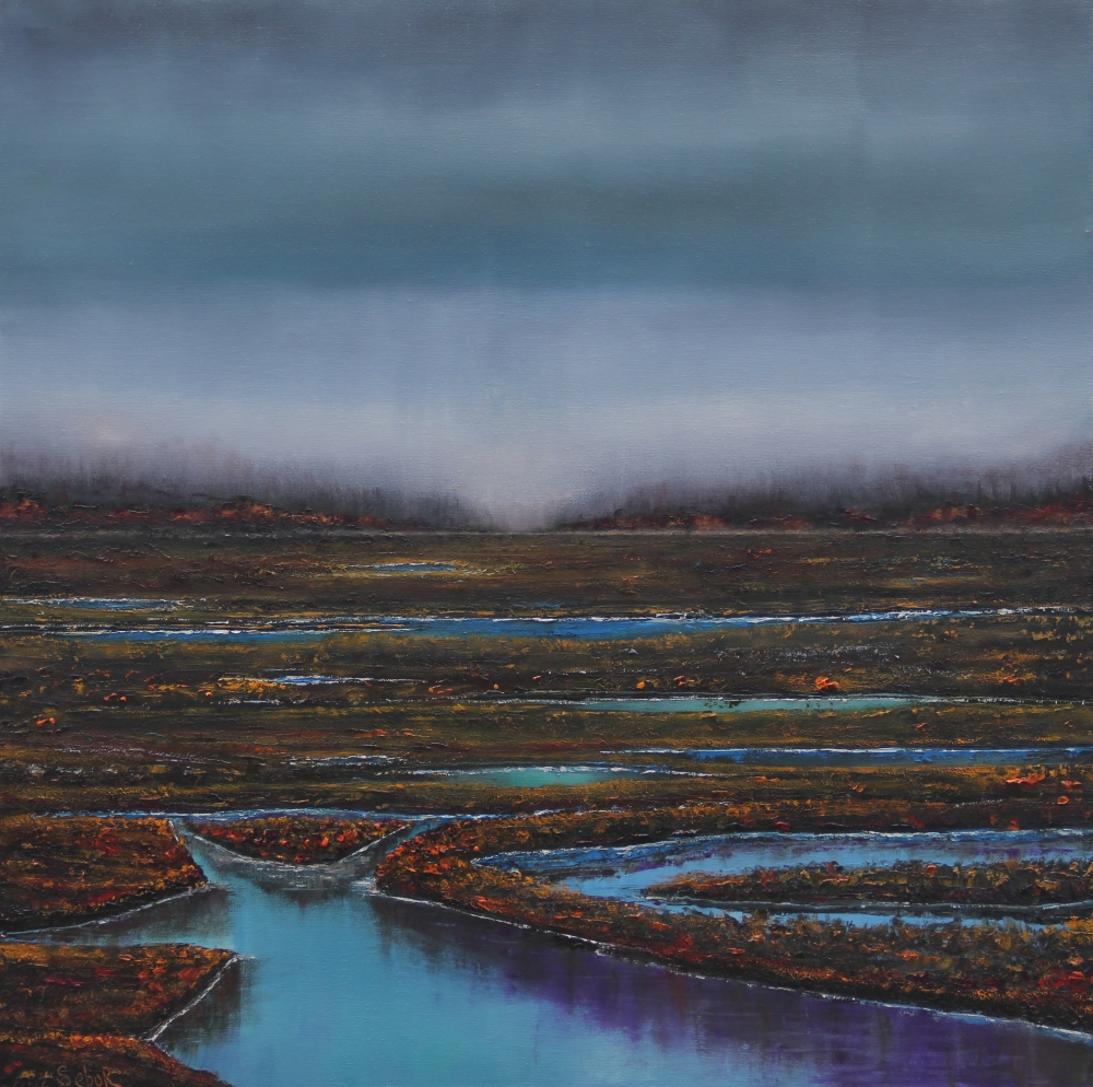 Wetland