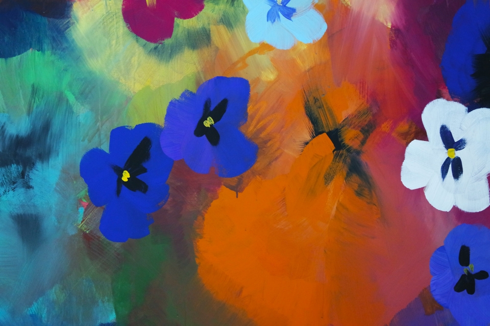 XL Yummy Colourful Pansy Wildflowers 5256