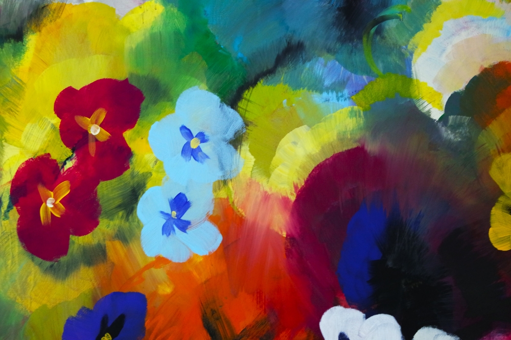 XL Yummy Colourful Pansy Wildflowers 5256