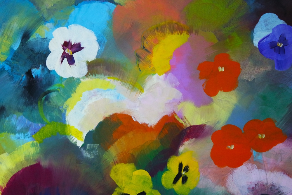 XL Yummy Colourful Pansy Wildflowers 5256