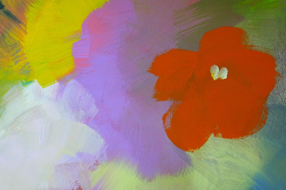 XL Yummy Colourful Pansy Wildflowers 5256
