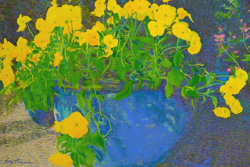 Yellow Pansies - The Great Escape