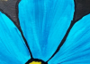 Of Course I can Paint Flowers