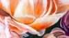 Radiance in Bloom - Macro Coral Peonies
