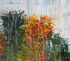Trees By A Lake L 1