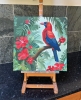 Tropical Bird With Red