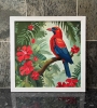 Tropical Bird With Red