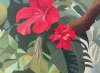 Tropical Bird With Red