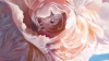 Whisper of pink peonies