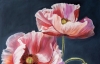 Velvet Poppies