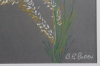 Summer Grass