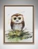 The Curious Owl