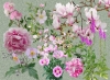 A sense of Pink - Dark or Light backgrounds