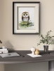 The Curious Owl