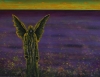 Astray