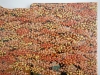 Artist made Fused Glass Autumn Trees Picture
