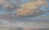 Birds realm - Sunrise
