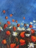 red poppies
