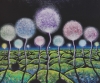 Dandelions