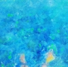 Wild water swimmer at rest