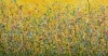 Dreaming Of Yesterday - A hand stretched canvas