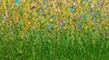 Dreaming Of Yesterday - A hand stretched canvas