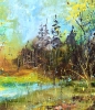 Spring in the wood 