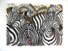 Zebras crossing