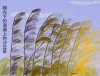 Dune Grass Hanzi