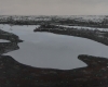Endless Swamps 