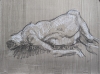 Female lying, March 2023, A3, Charcoal on Wash