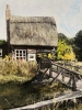 The Old Thatch Cottage