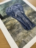 The Elephant's Hope