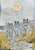 Wolf Pack On the prowl as the moon sets 
