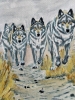 Wolf Pack On the prowl as the moon sets 