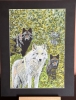 Wolves amongst woodland 