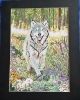 Wolf enjoying spring sunshine and flowers 