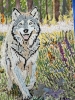 Wolf enjoying spring sunshine and flowers 
