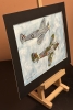Anti submarine spitfire and spitfire 